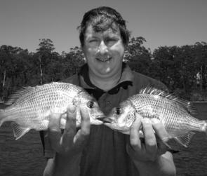 Simon with a few plastic-munching bream from the upper reaches of Wagonga Inlet.